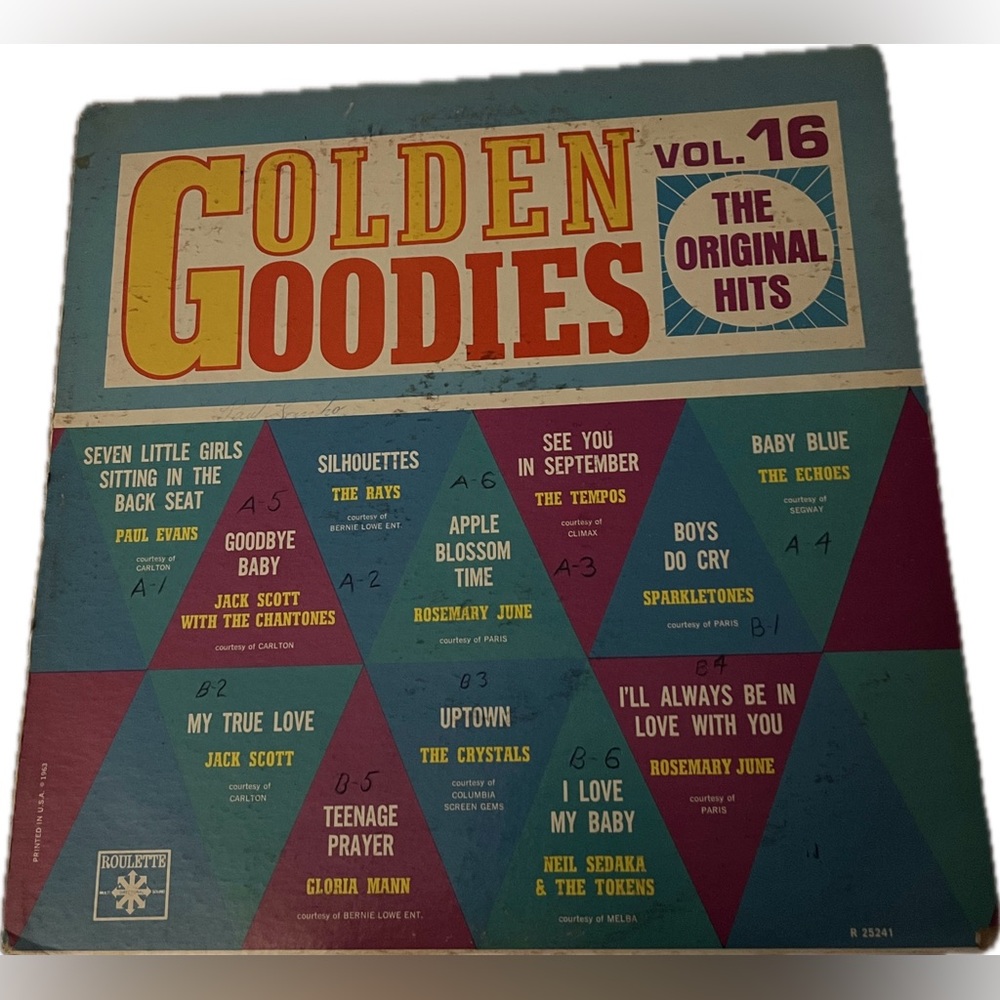 💙 Golden Goodies Vinyl Album